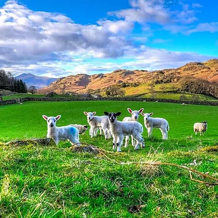 The Grand At Grasmere Hotel 3*